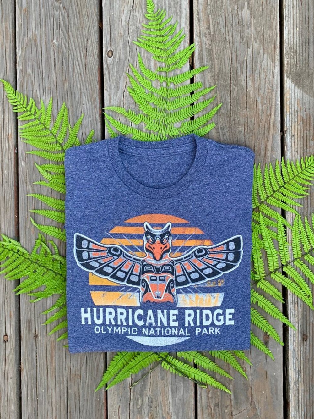 Vintage official Olympic National Park Hurricane Ridge crop tee